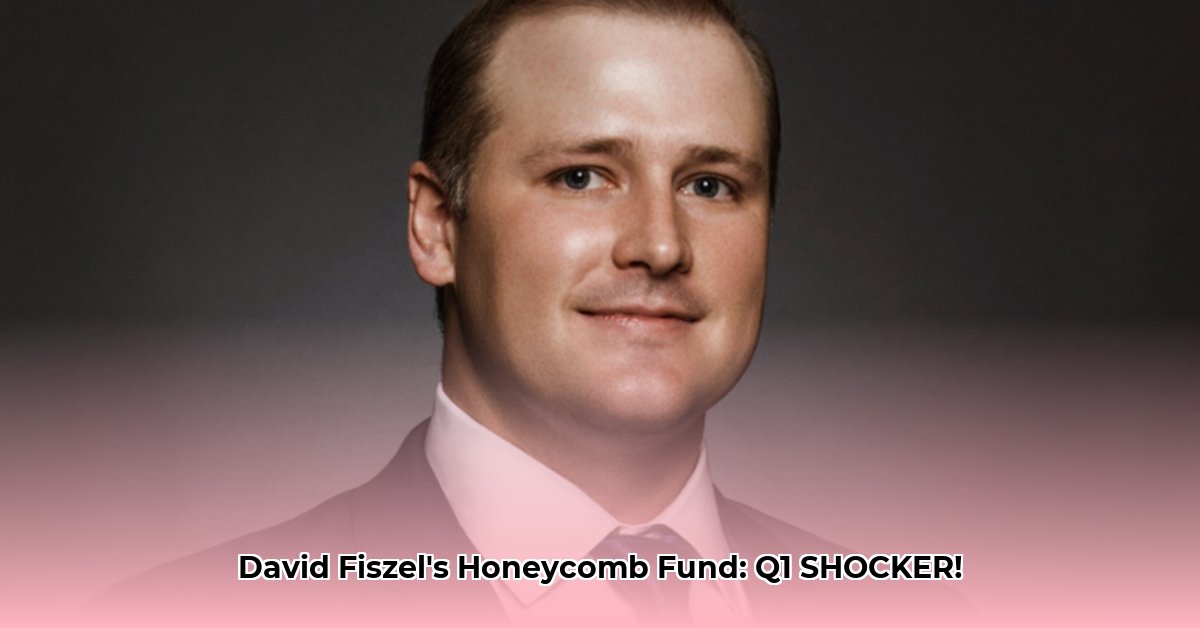 david-fiszel-net-worth